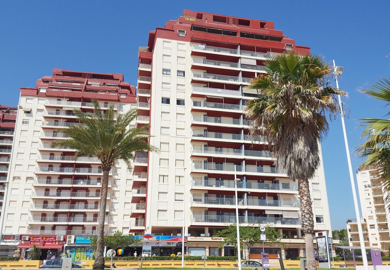 Apartamento en Gandia - XIPHO 5º - C