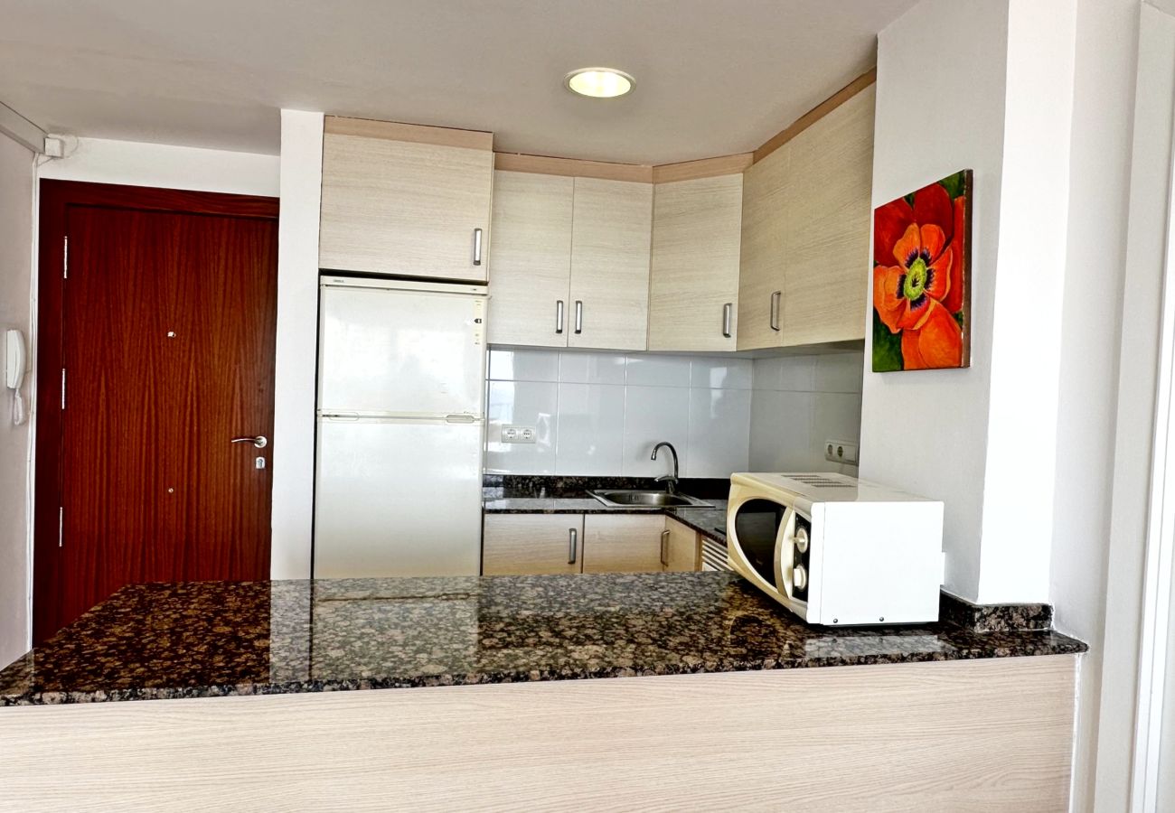 Apartamento en Gandia - INFANTE E1 - 5
