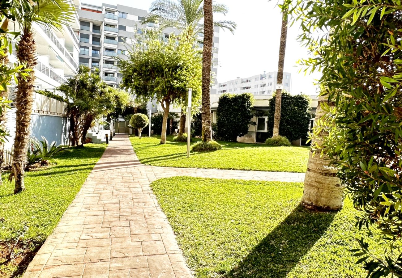 Apartamento en Gandia - ATHENEA Bl-F, esc 2 - 9º - F