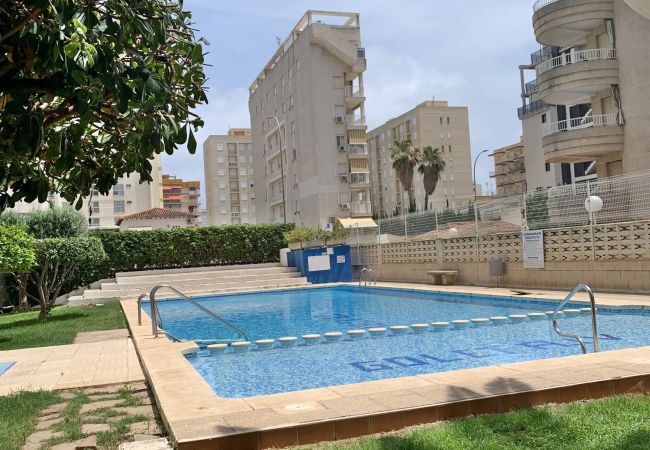 Apartamento en Gandia - GOLETA IV - 3ª - 8º - IZQ