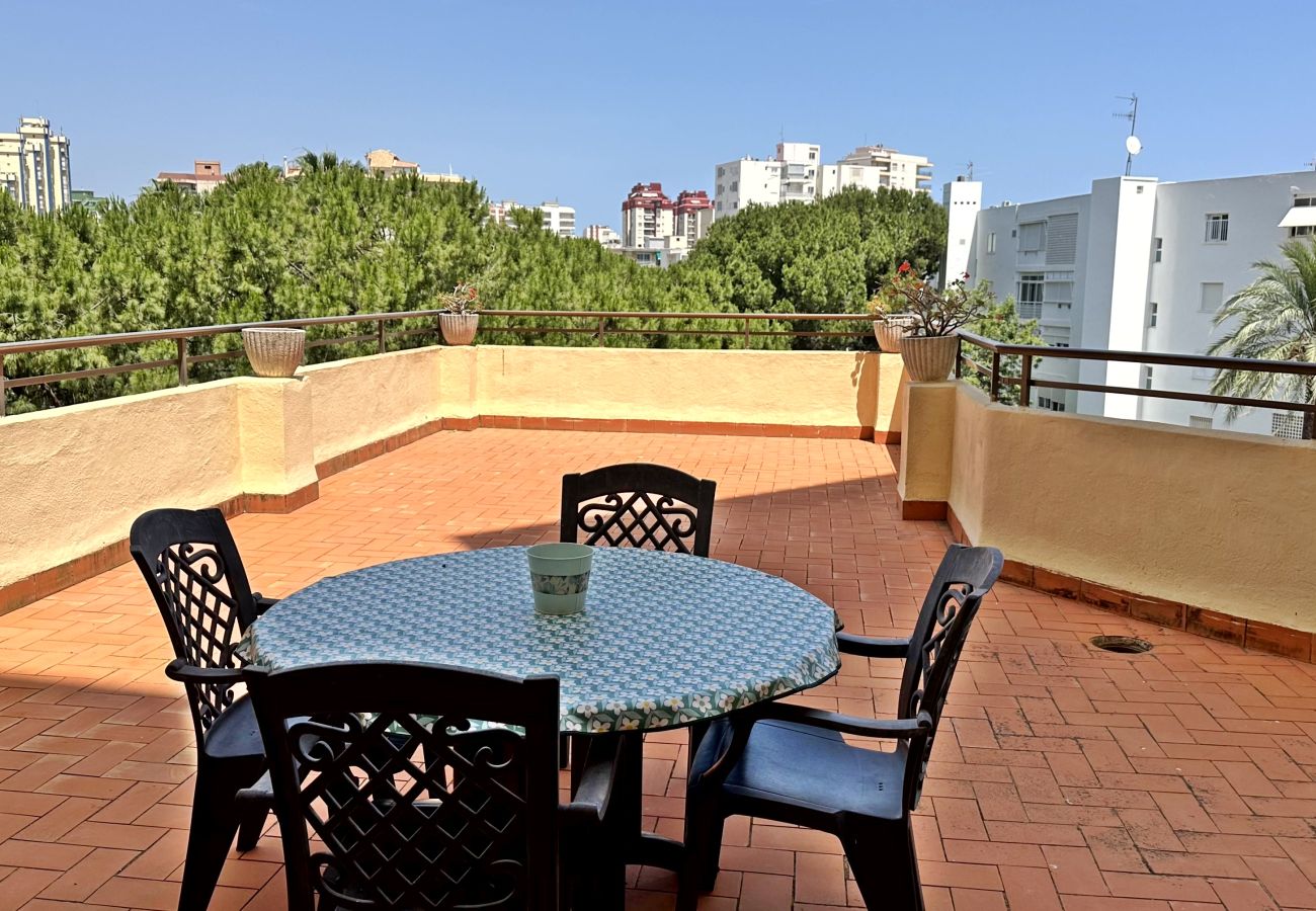 Apartamento en Gandia - LAS OLAS 4º - 11ª