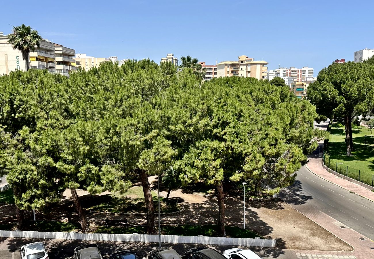 Apartamento en Gandia - LAS OLAS 4º - 11ª