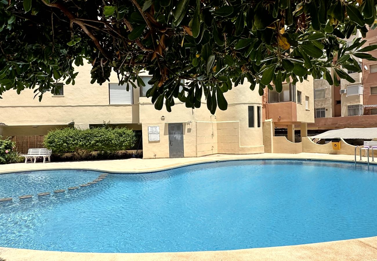 Apartamento en Gandia - LAS OLAS 4º - 11ª