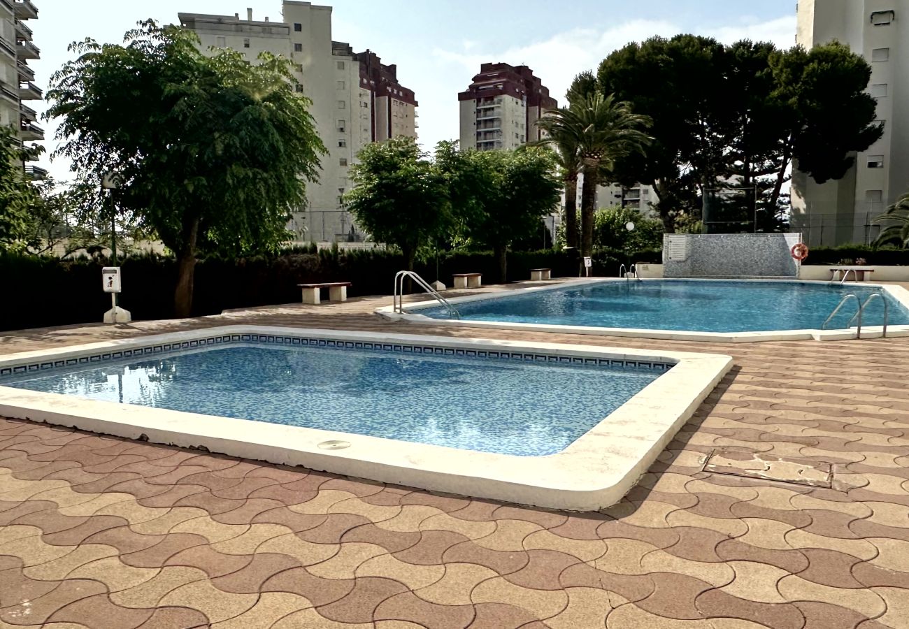 Apartamento en Gandia - PIRAMIDE 1ª - 11º - 23ª