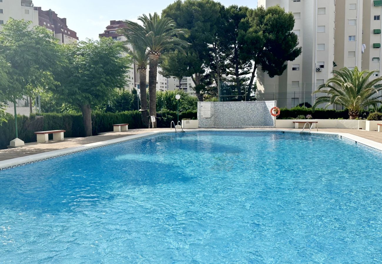 Apartamento en Gandia - PIRAMIDE 1ª - 11º - 23ª