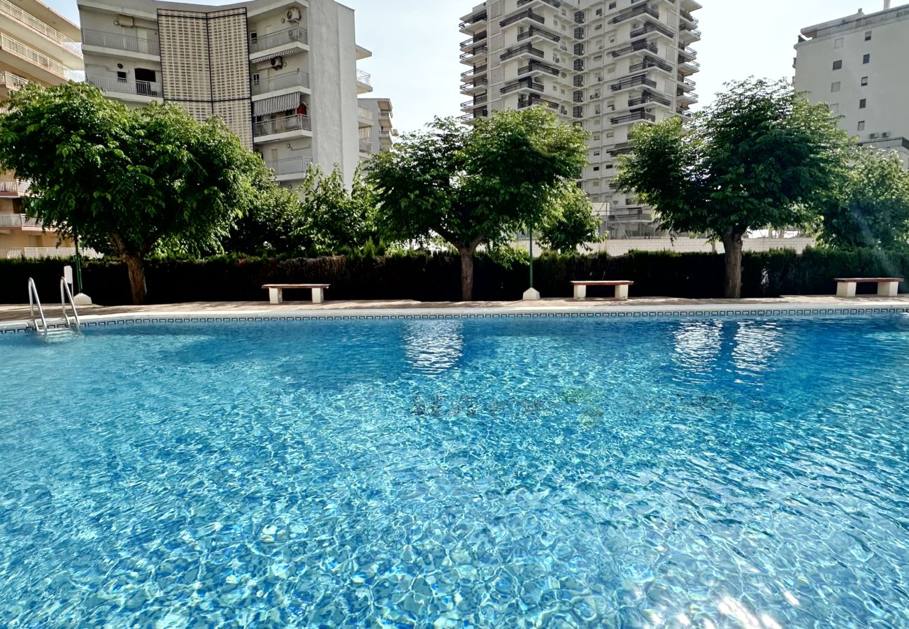 Apartamento en Gandia - PIRAMIDE 1ª - 11º - 23ª