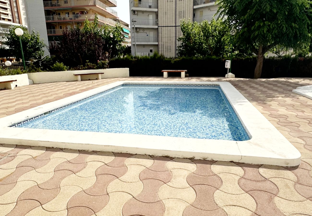 Apartamento en Gandia - PIRAMIDE 1ª - 11º - 23ª