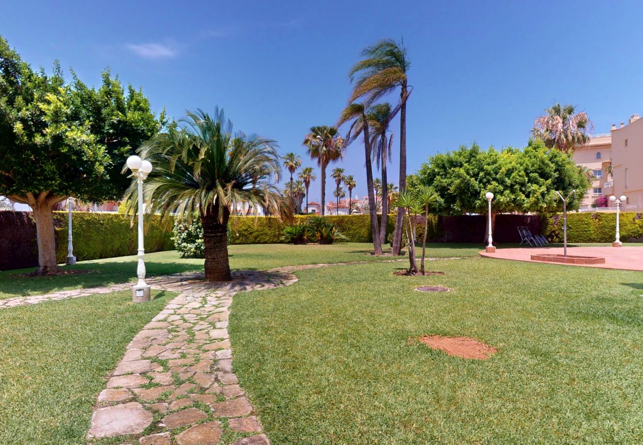 Apartamento en Oliva - Golf y Mar 3301