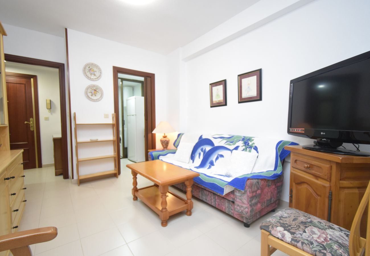 Apartamento en Benidorm - GEMELOS 12 19B2