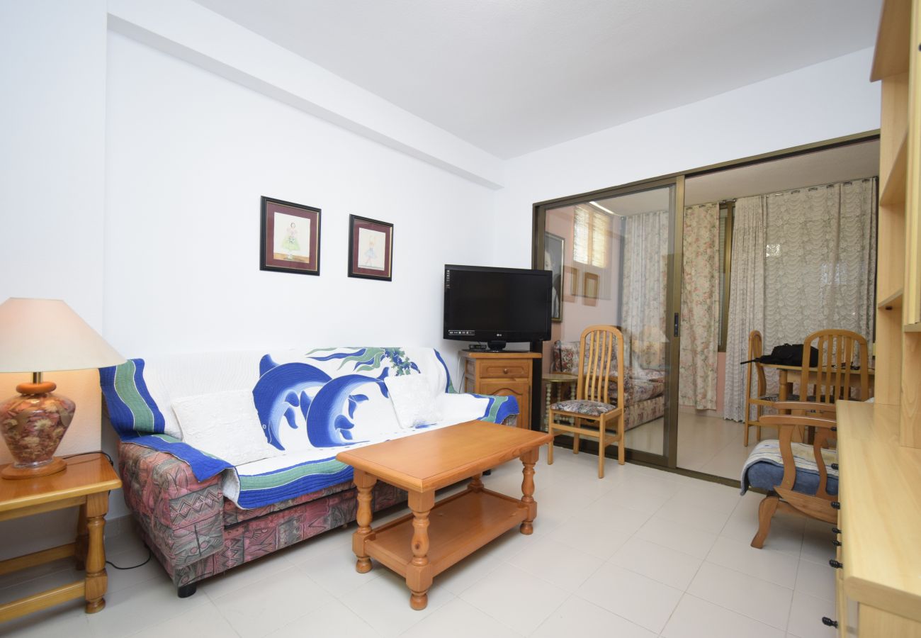 Apartamento en Benidorm - GEMELOS 12 19B2