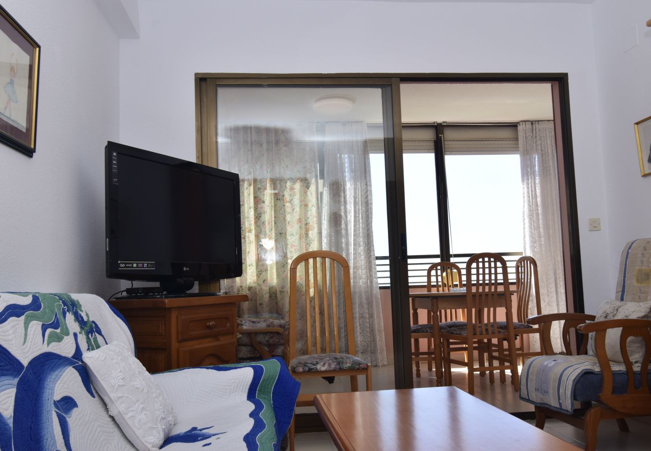 Apartamento en Benidorm - GEMELOS 12 19B2