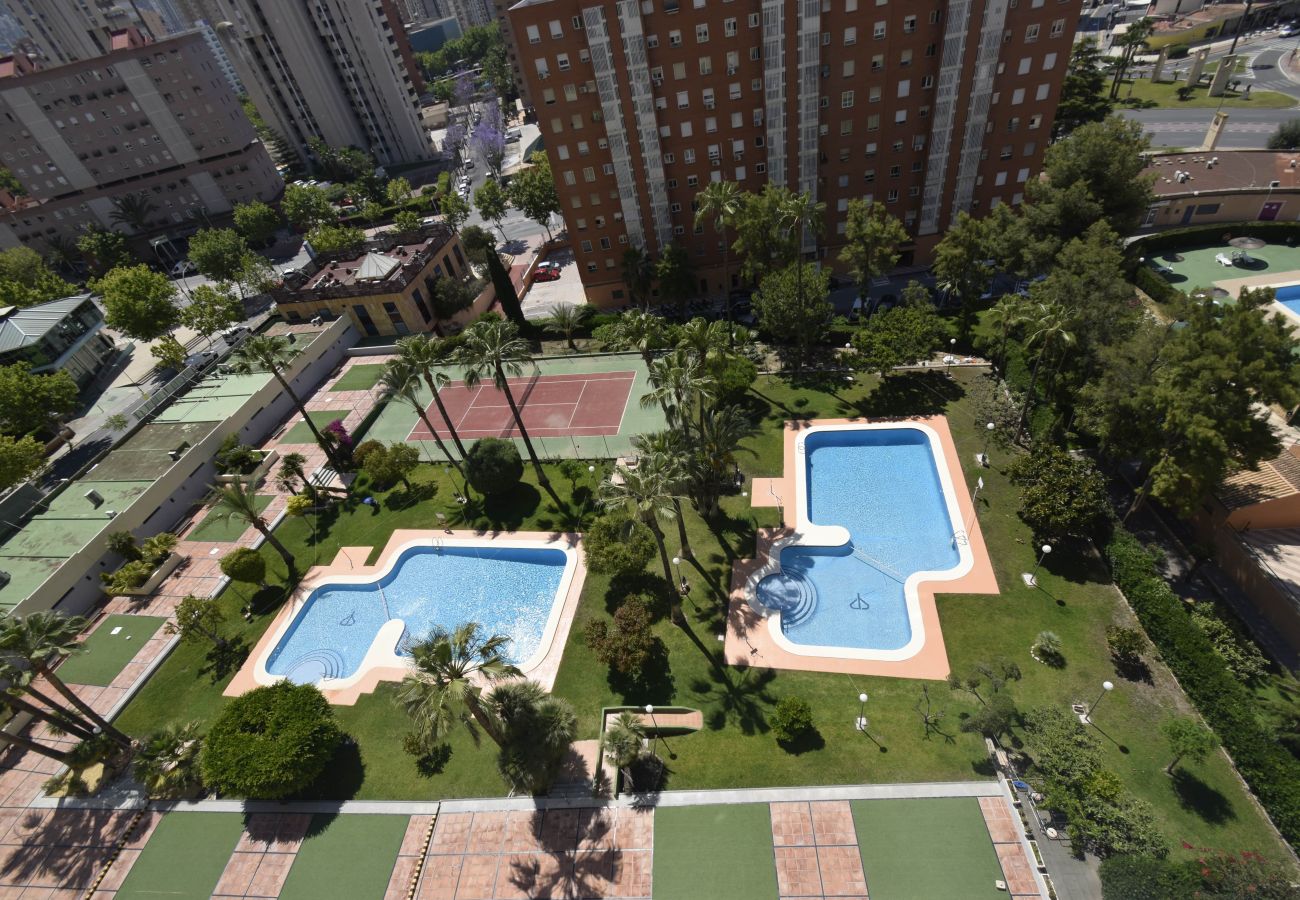 Apartamento en Benidorm - GEMELOS 12 19B2