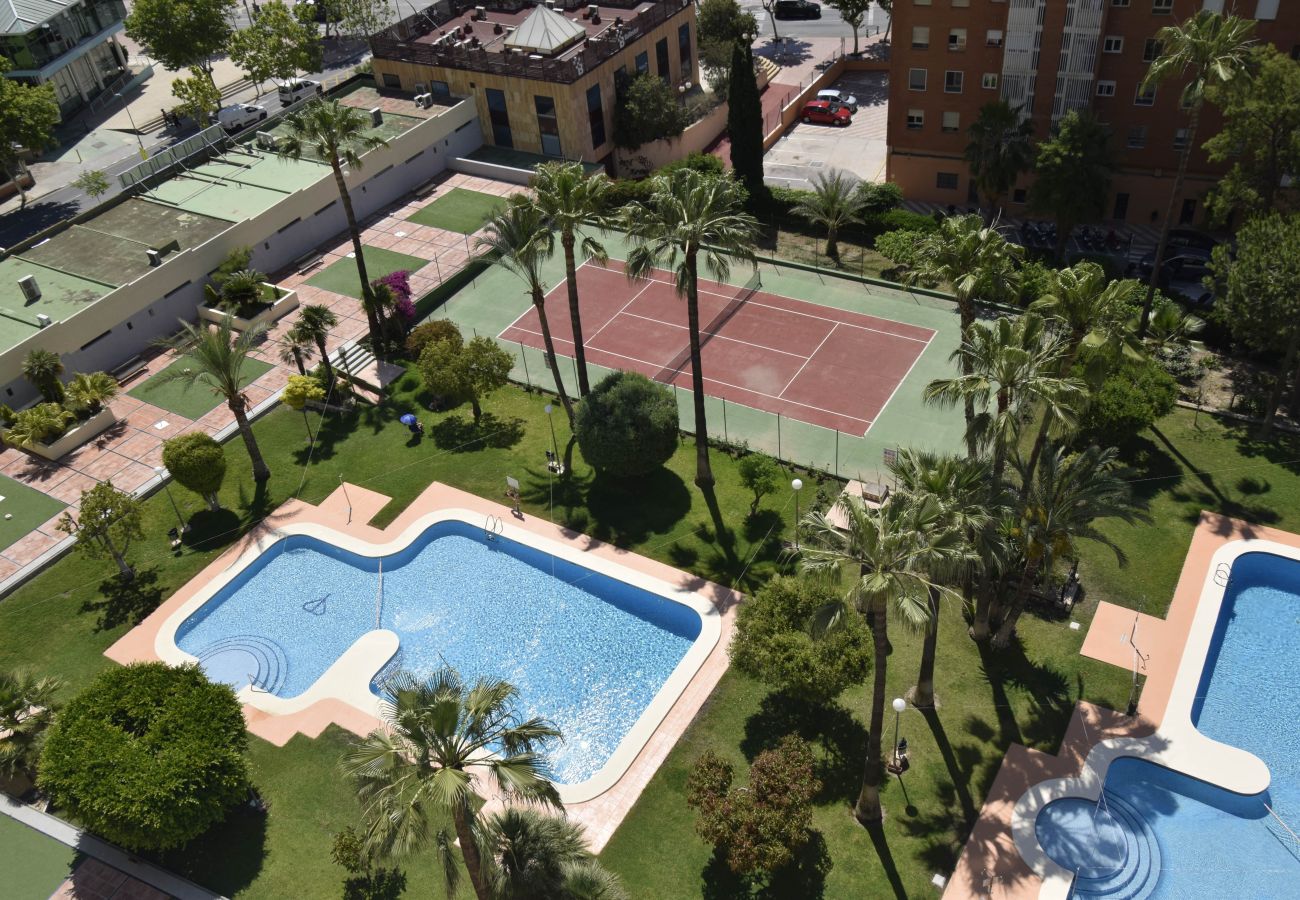 Apartamento en Benidorm - GEMELOS 12 19B2