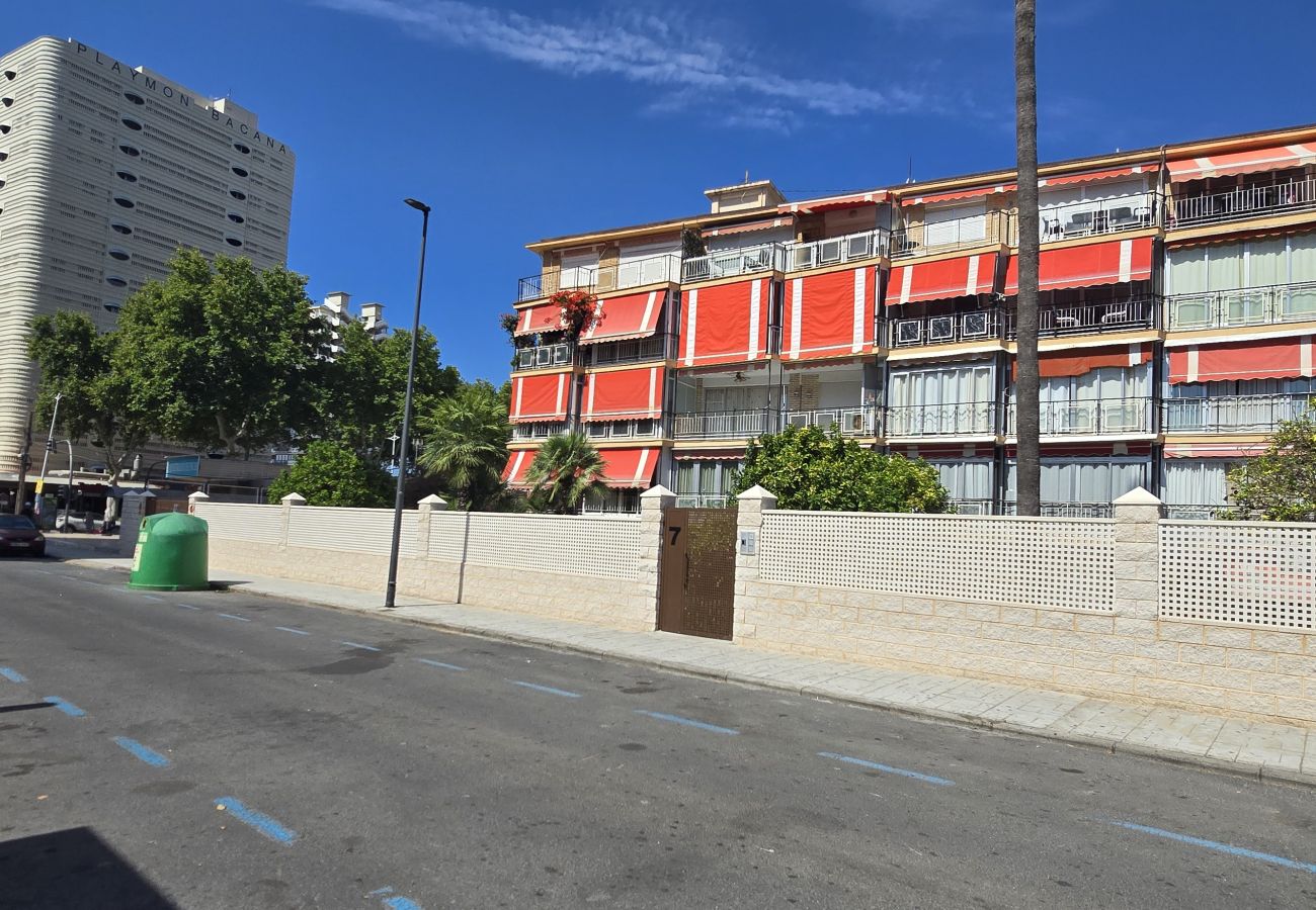 Apartamento en Benidorm - ALLONAYA D 2-6