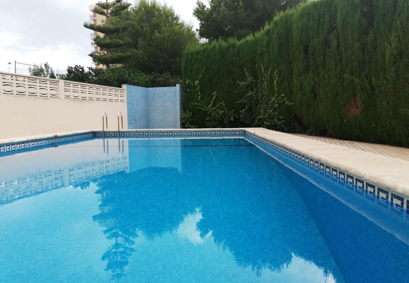 Apartamento en Playa de Gandía - 1.Mikonos IV 9º pta.27