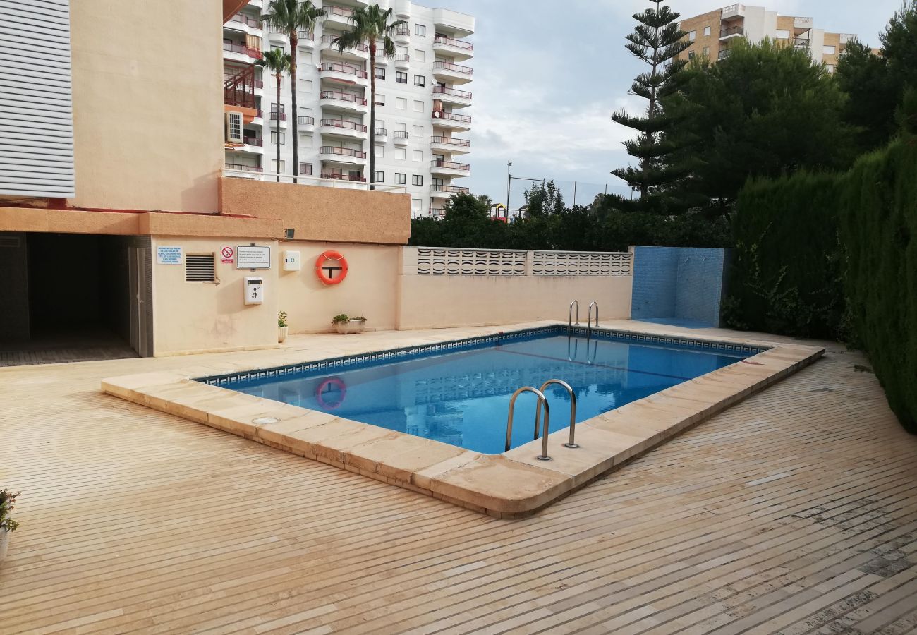 Apartamento en Playa de Gandía - 1.Mikonos IV 9º pta.27