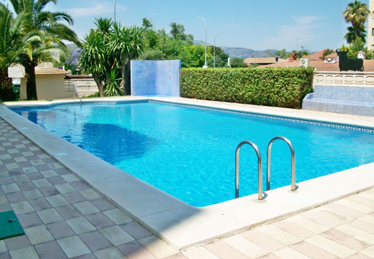 Apartamento en Gandia - GARDENIAS III - 8º - D