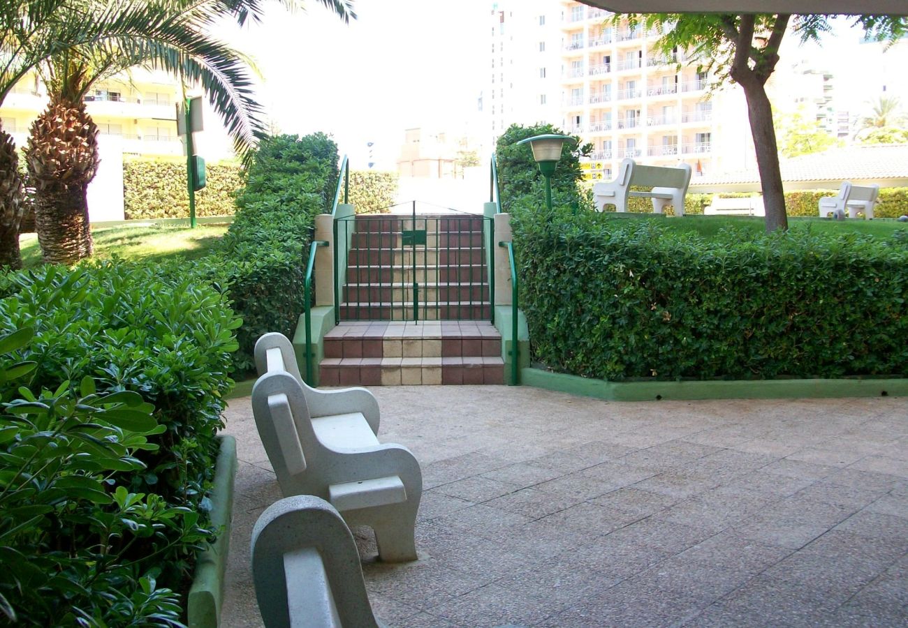 Apartamento en Gandia - GARDENIAS III - 8º - D