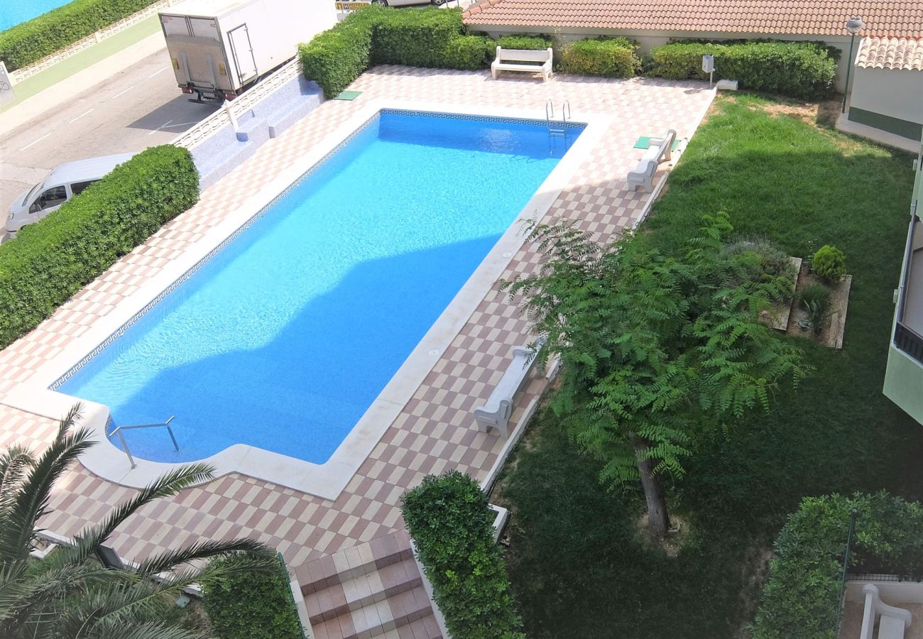 Apartamento en Gandia - GARDENIAS III - 8º - D