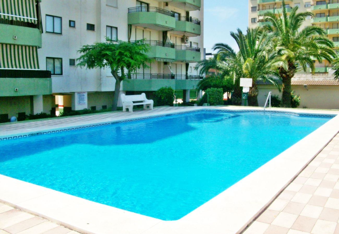 Apartamento en Gandia - GARDENIAS III - 8º - D