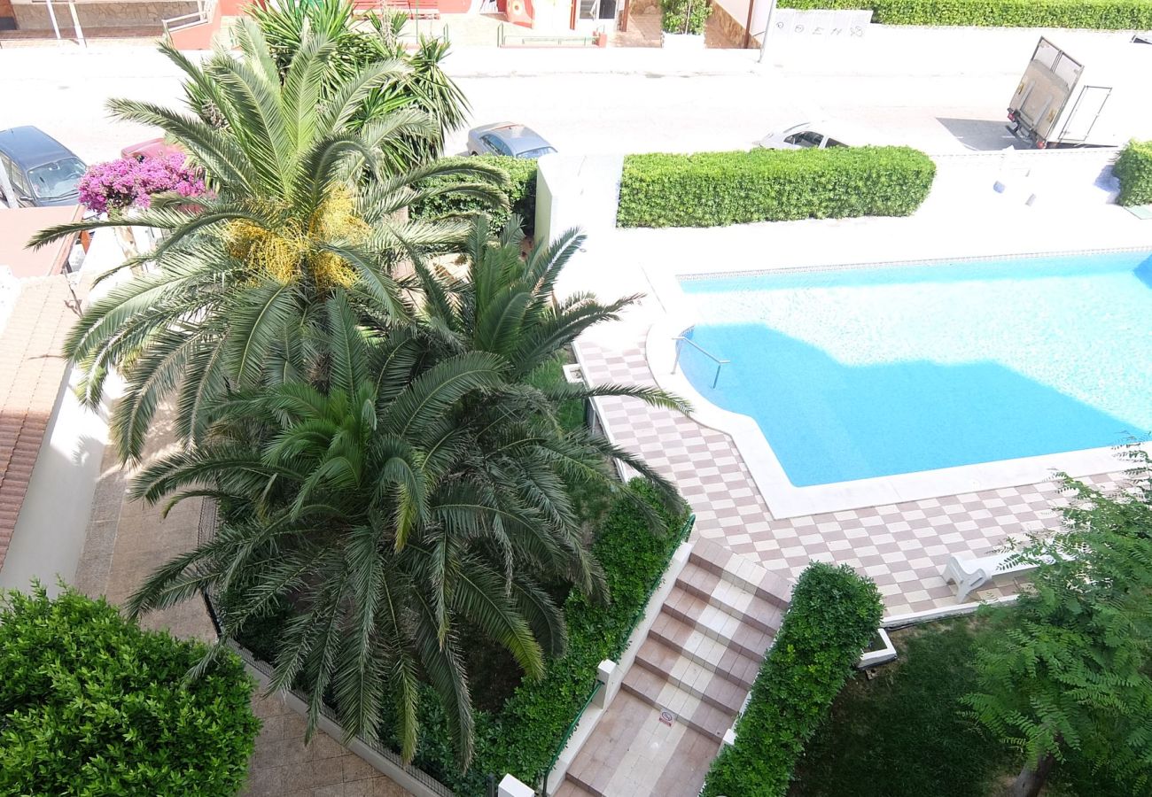 Apartamento en Gandia - GARDENIAS III - 8º - D