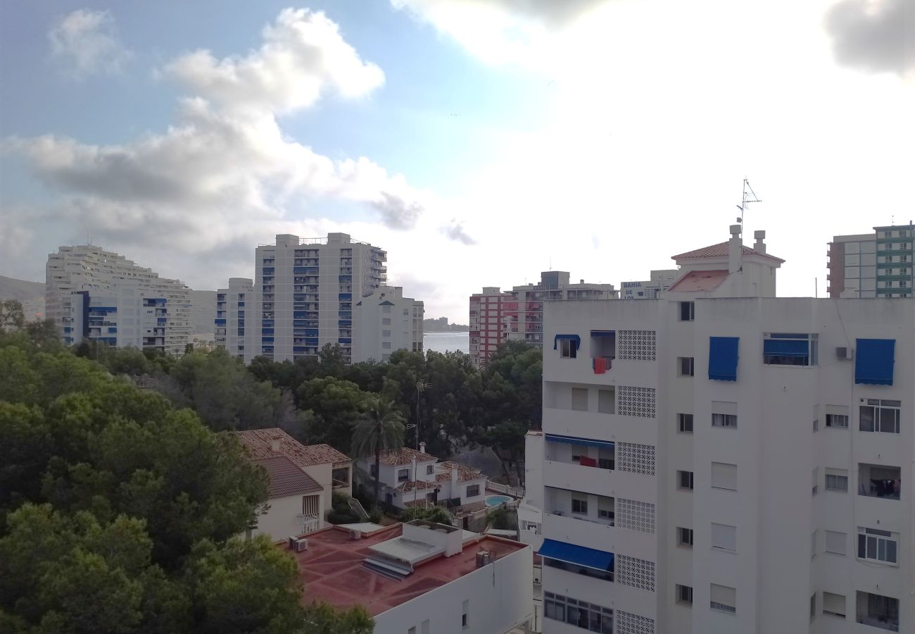 Apartamento en Cullera - VAN-DYCK, ESC-4, 6º-24 + PK 18