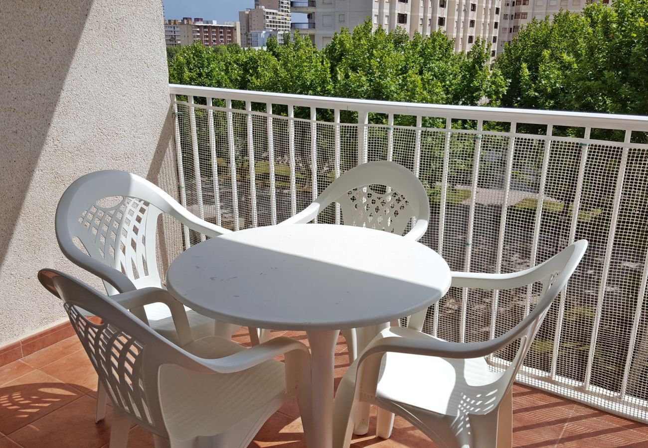 Apartamento en Gandia - BITACORA VI - 4º - E