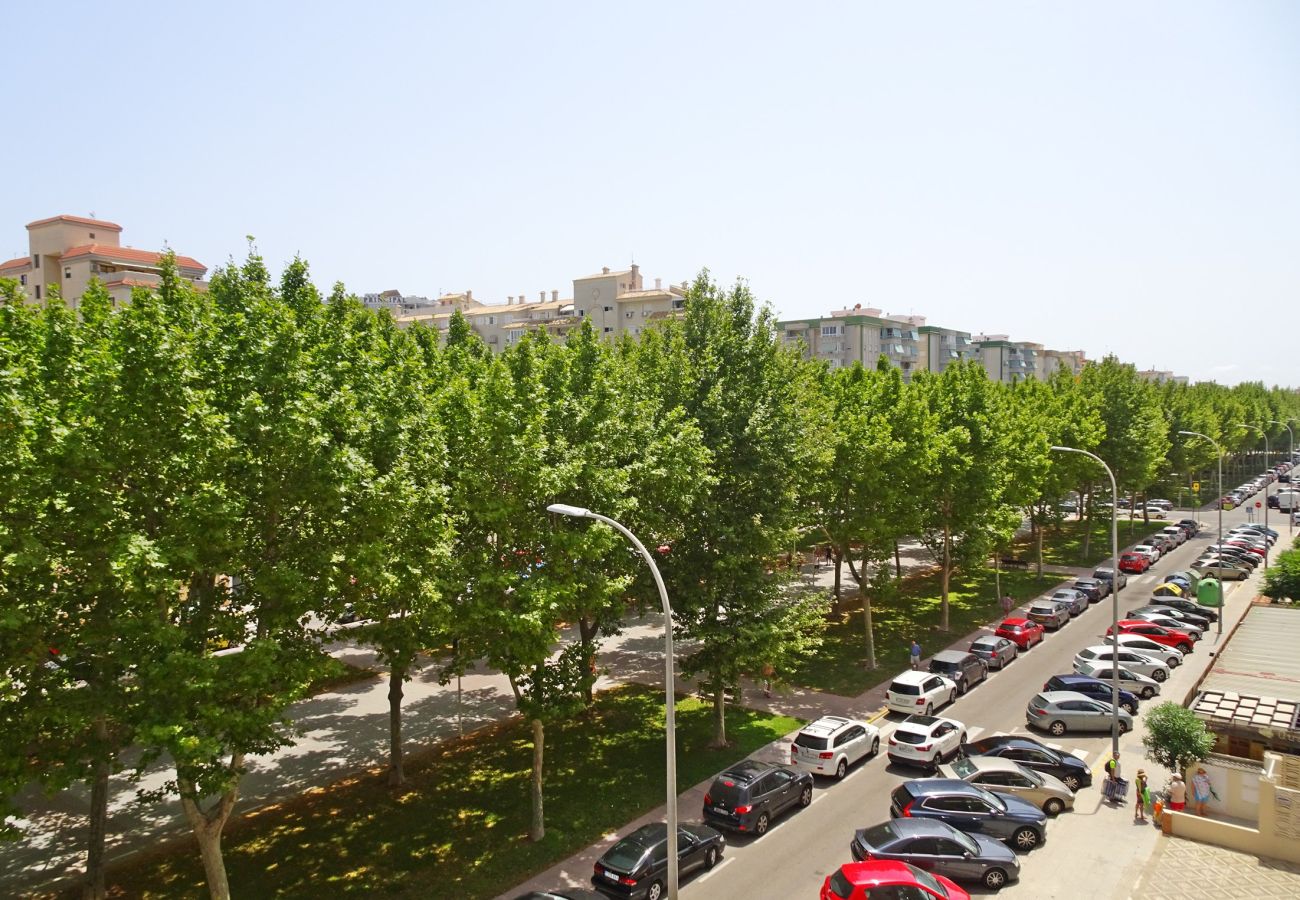 Apartamento en Gandia - BITACORA VI - 4º - E