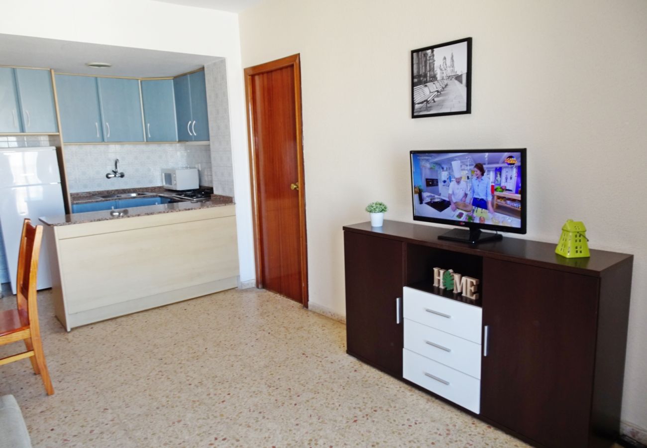 Apartamento en Gandia - BONAIRE E9 - 9º
