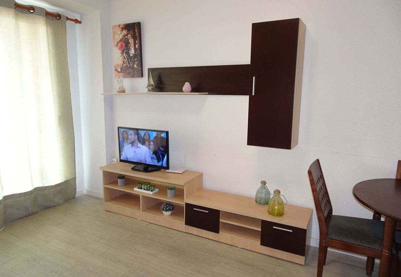 Apartamento en Gandia - INFANTE E2 - 12º