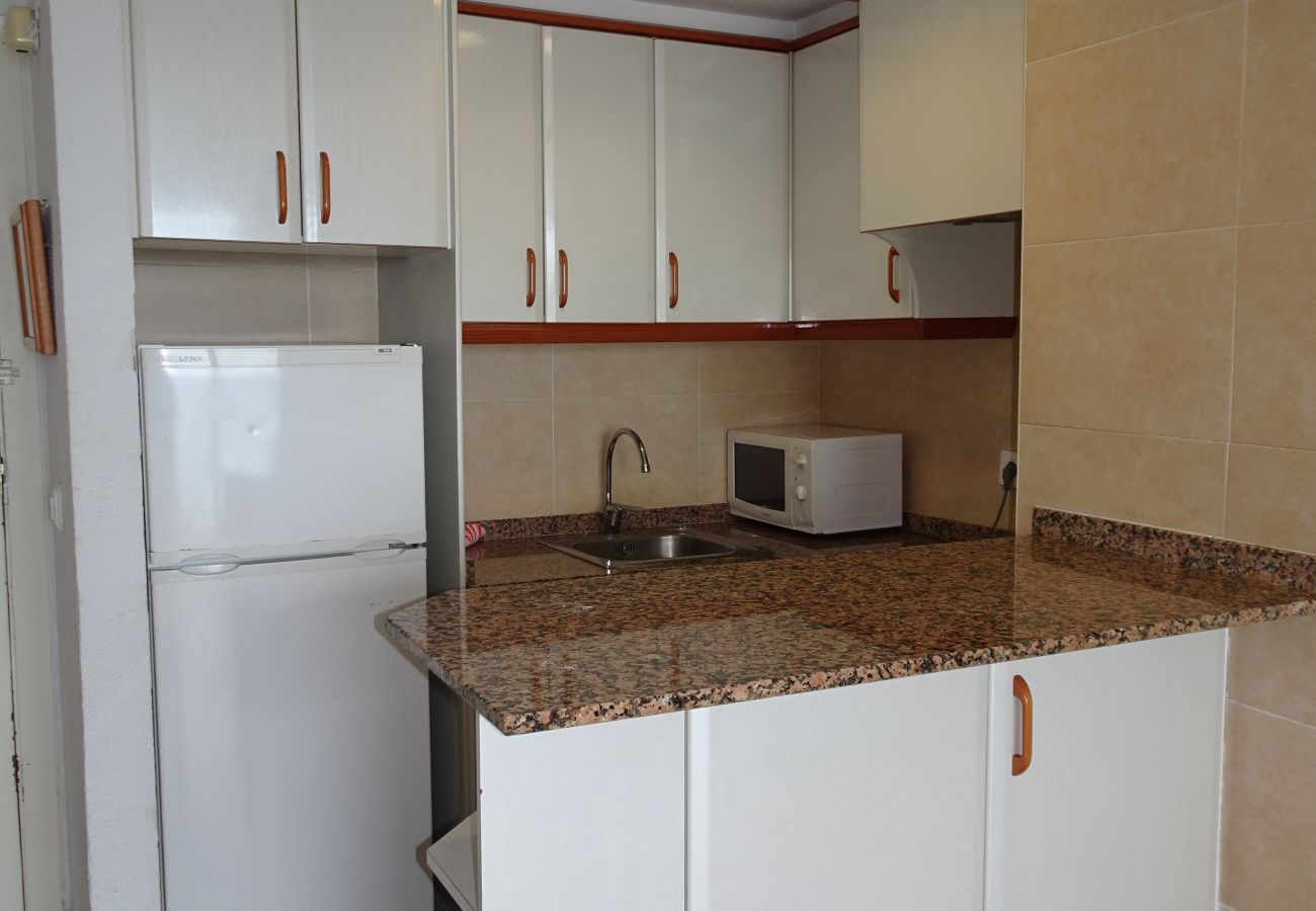 Apartamento en Gandia - INFANTE E2 - 12º