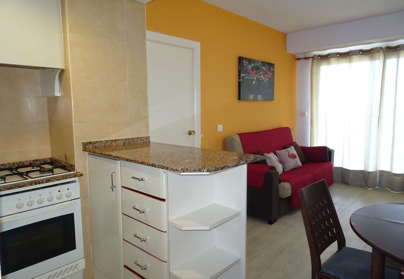 Apartamento en Gandia - INFANTE E2 - 12º