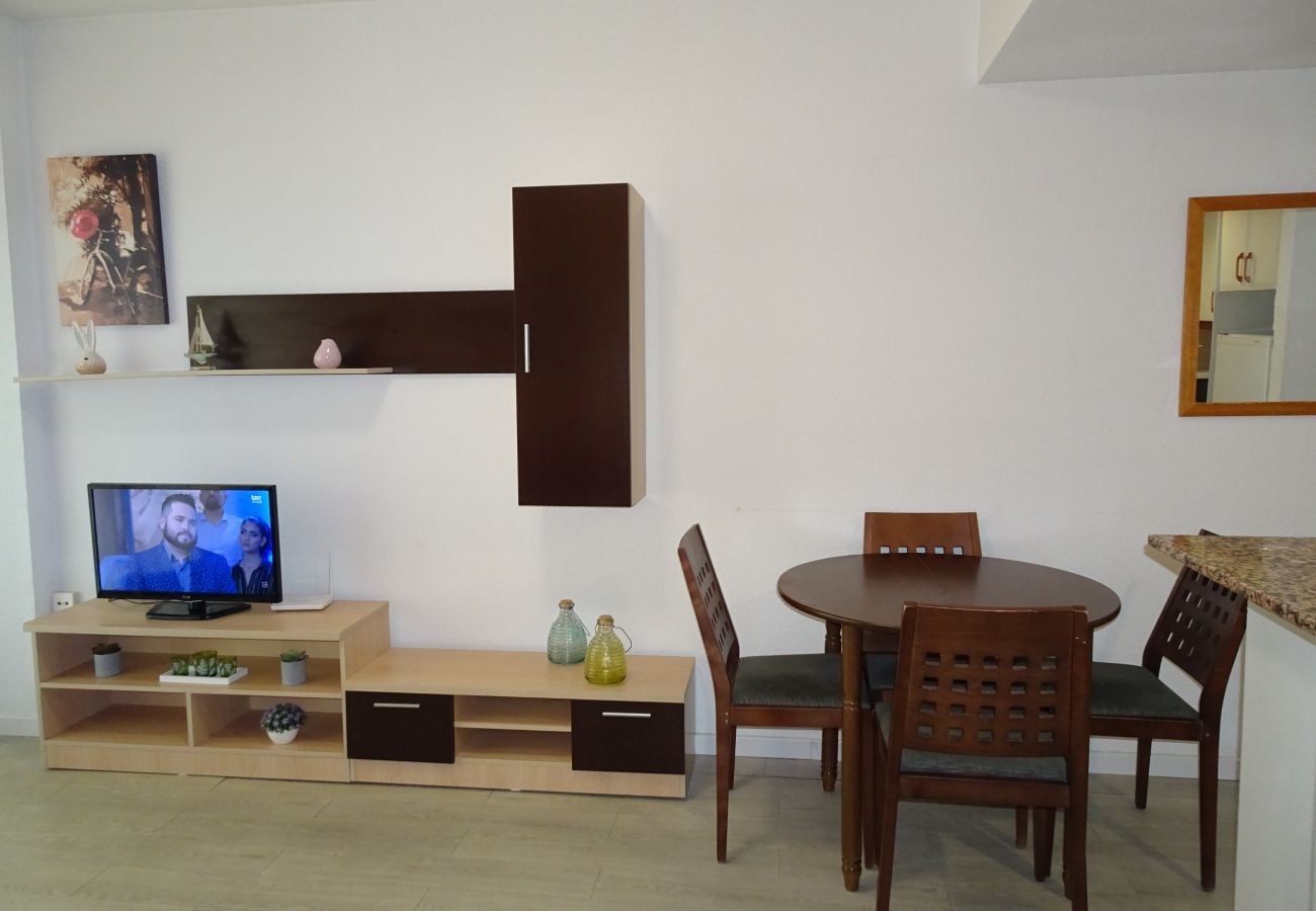 Apartamento en Gandia - INFANTE E2 - 12º