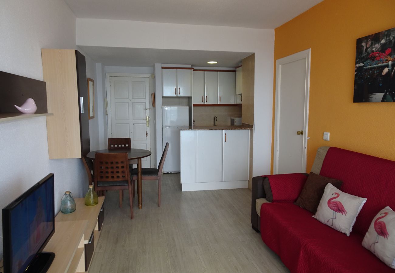 Apartamento en Gandia - INFANTE E2 - 12º