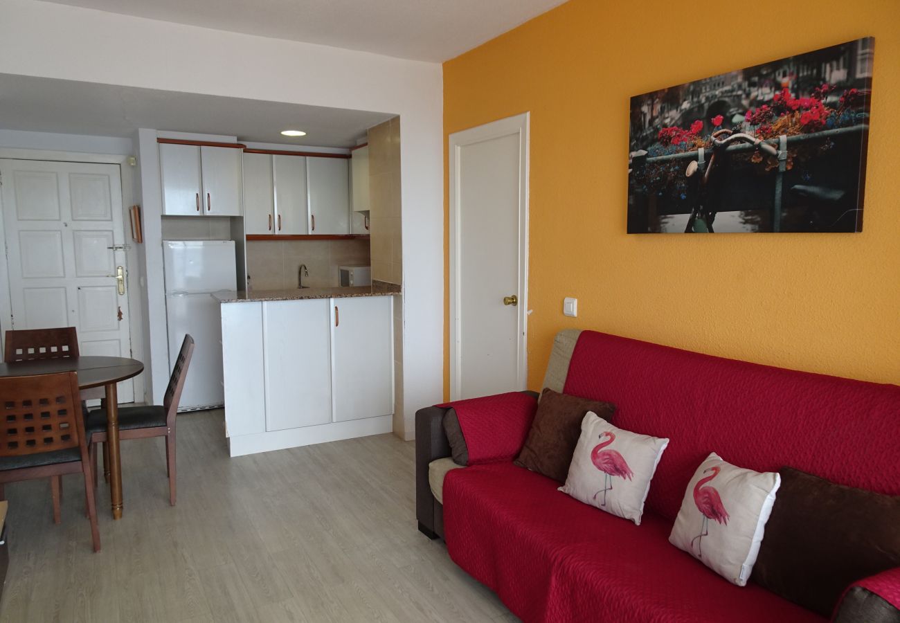 Apartamento en Gandia - INFANTE E2 - 12º