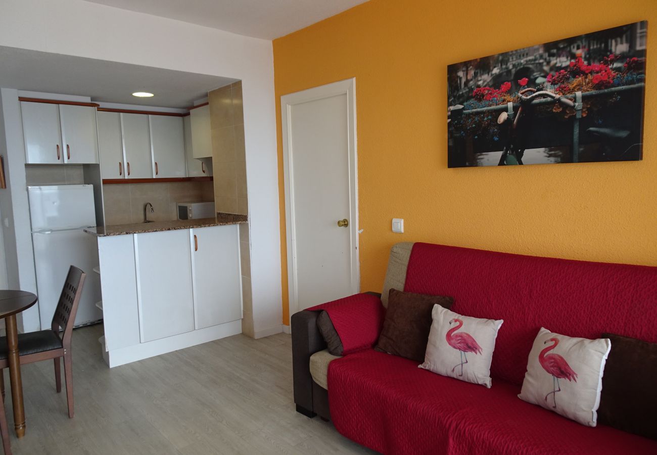 Apartamento en Gandia - INFANTE E2 - 12º