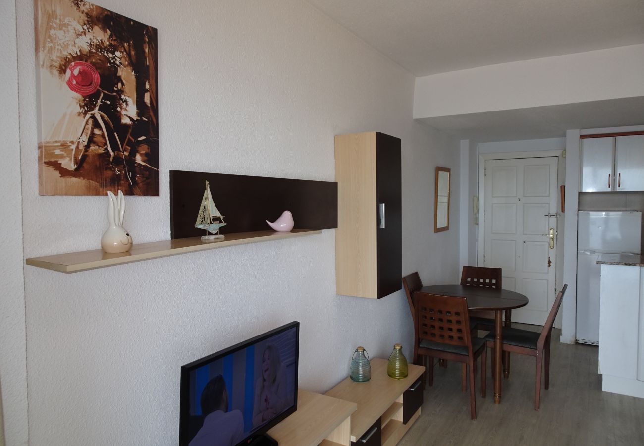 Apartamento en Gandia - INFANTE E2 - 12º