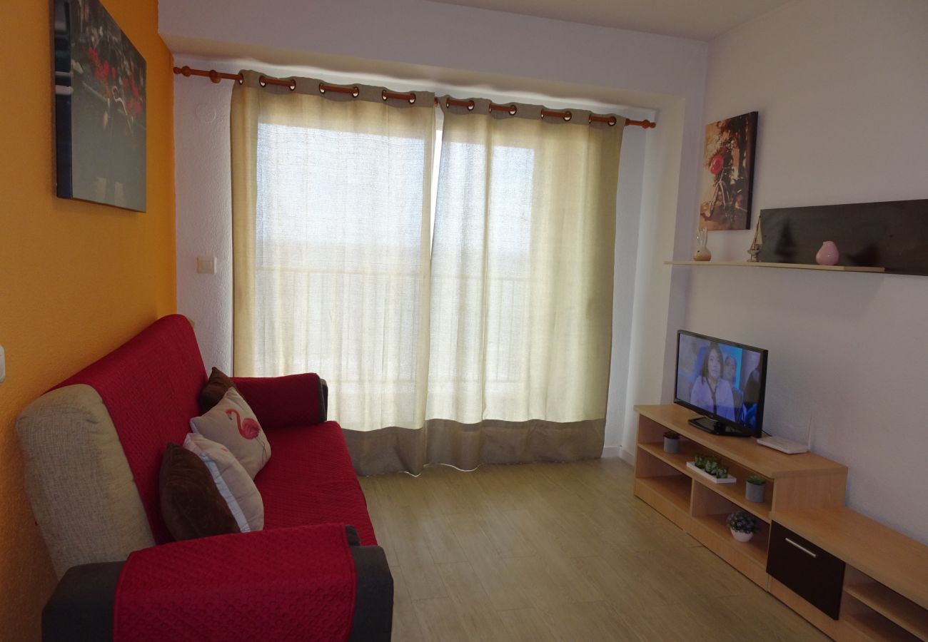 Apartamento en Gandia - INFANTE E2 - 12º