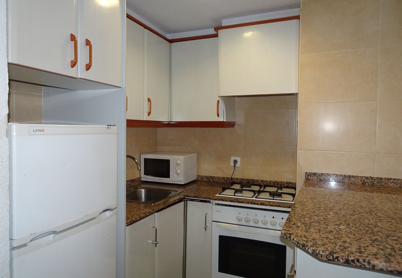 Apartamento en Gandia - INFANTE E2 - 12º
