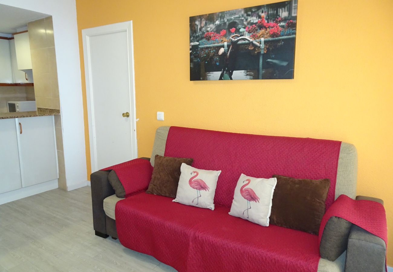 Apartamento en Gandia - INFANTE E2 - 12º