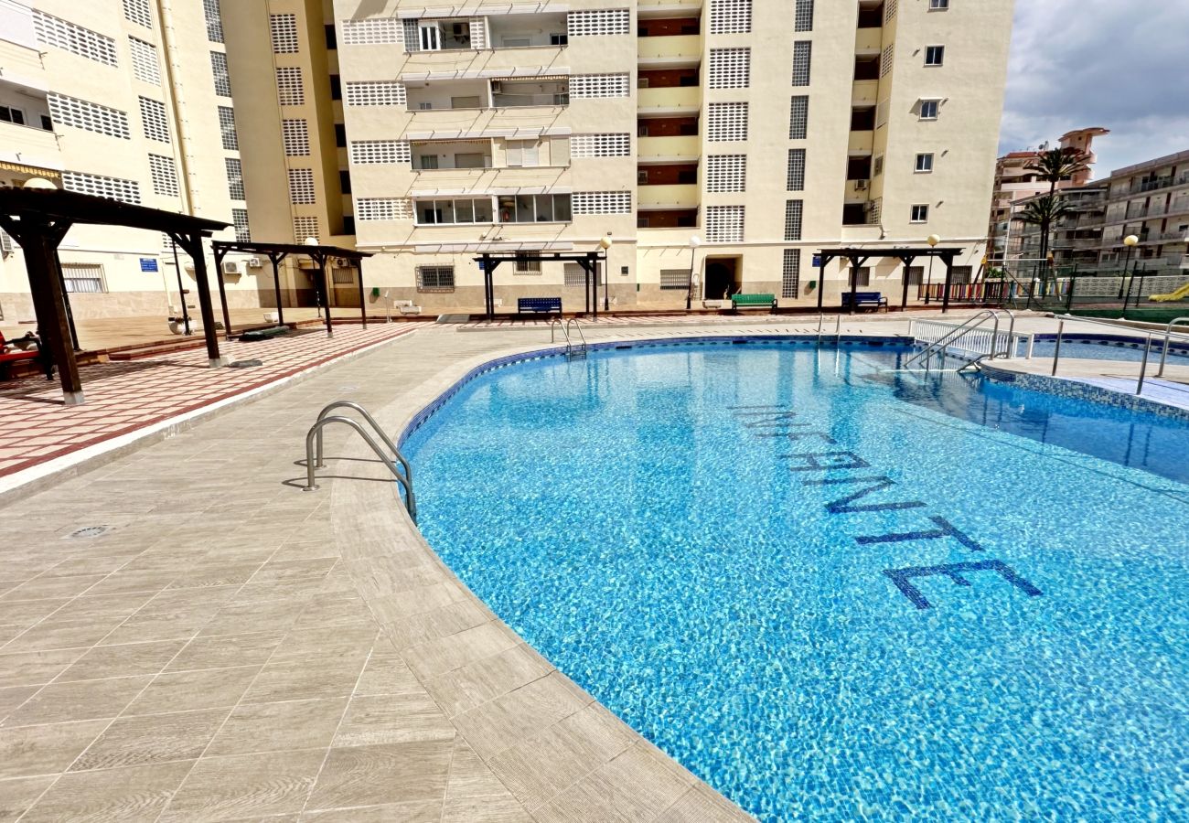 Apartamento en Gandia - INFANTE E2 - 12º