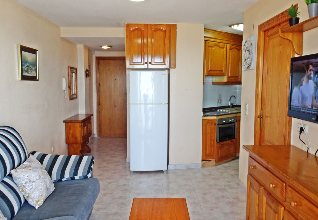 Apartamento en Gandia - INFANTE E3 - 10º
