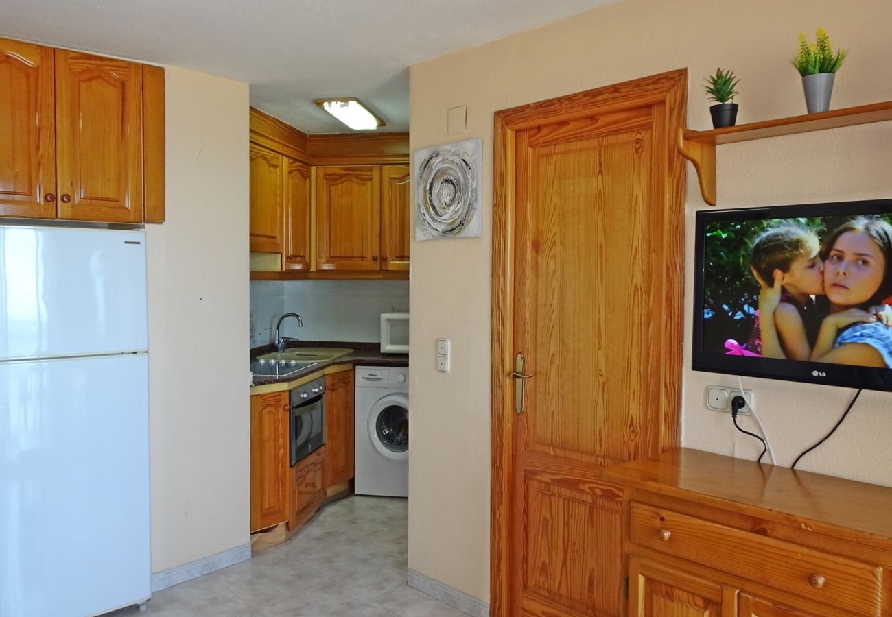 Apartamento en Gandia - INFANTE E3 - 10º