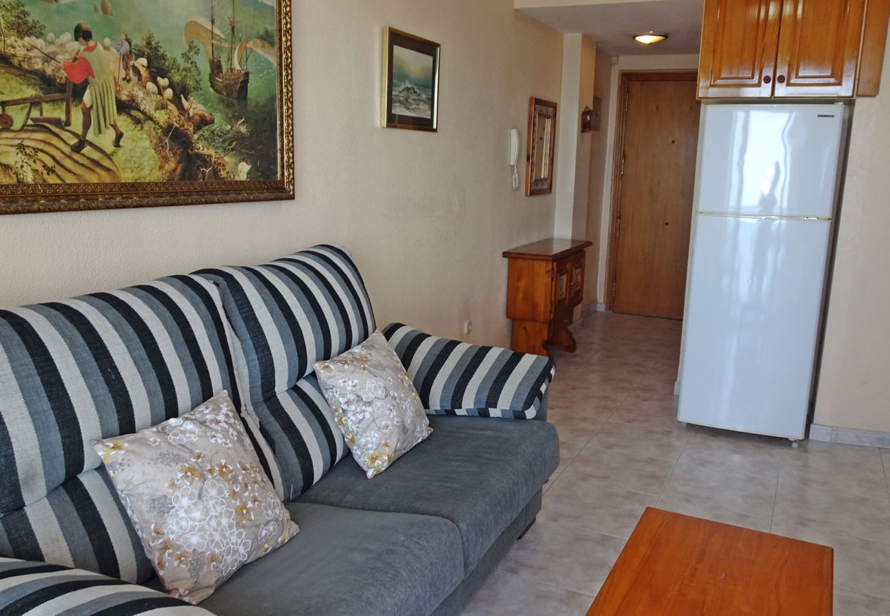 Apartamento en Gandia - INFANTE E3 - 10º