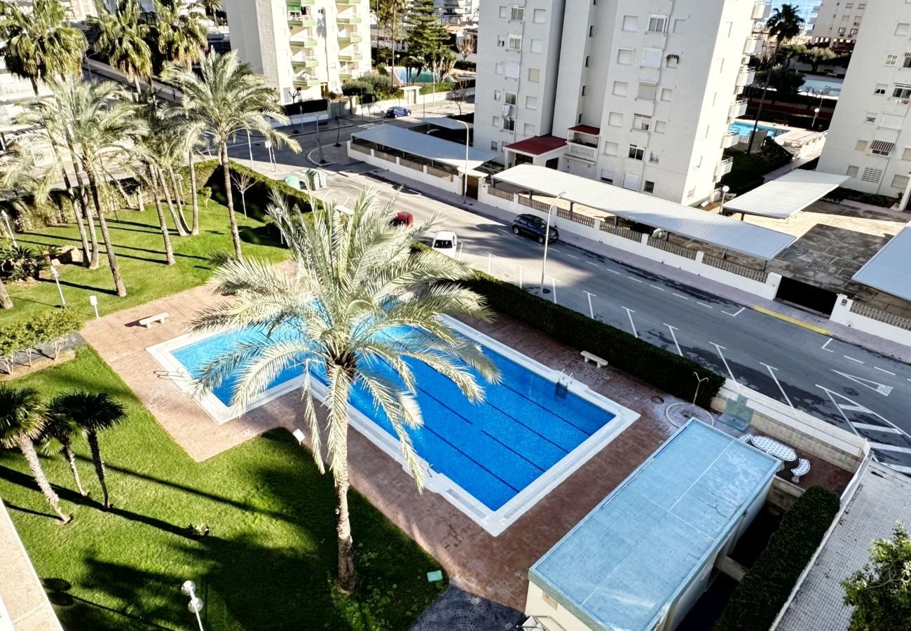 Apartamento en Gandia - LA FLORIDA 3ª - 6º - 11ª