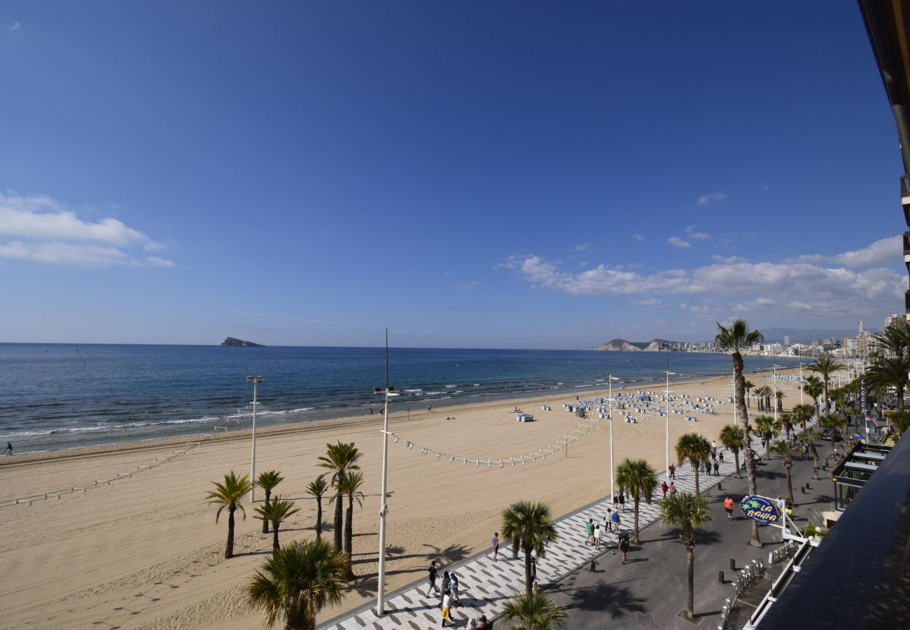 Apartamento en Benidorm - CACHIRULO 3B