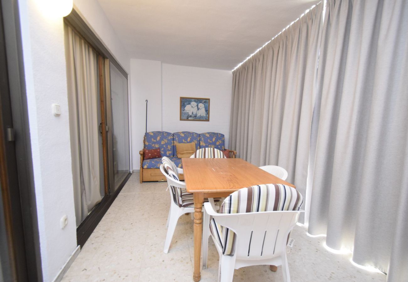 Apartamento en Benidorm - CACHIRULO 3B