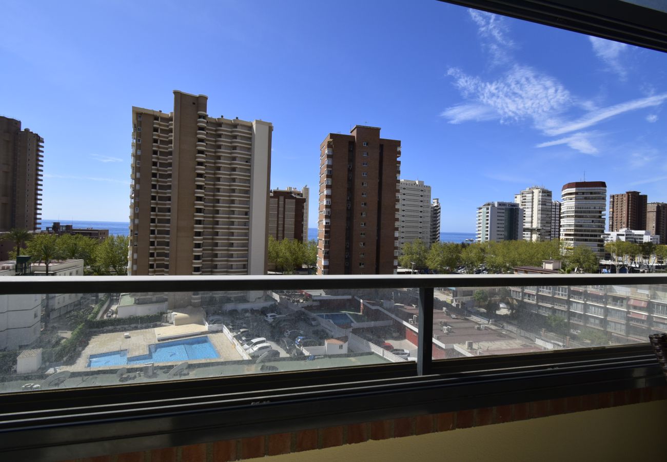 Apartamento en Benidorm - GEMELOS 23 6C