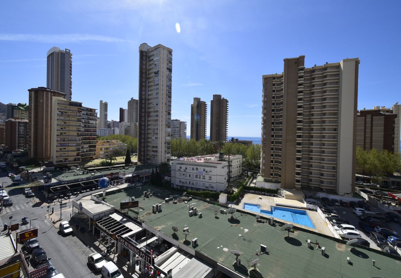 Apartamento en Benidorm - GEMELOS 23 6C