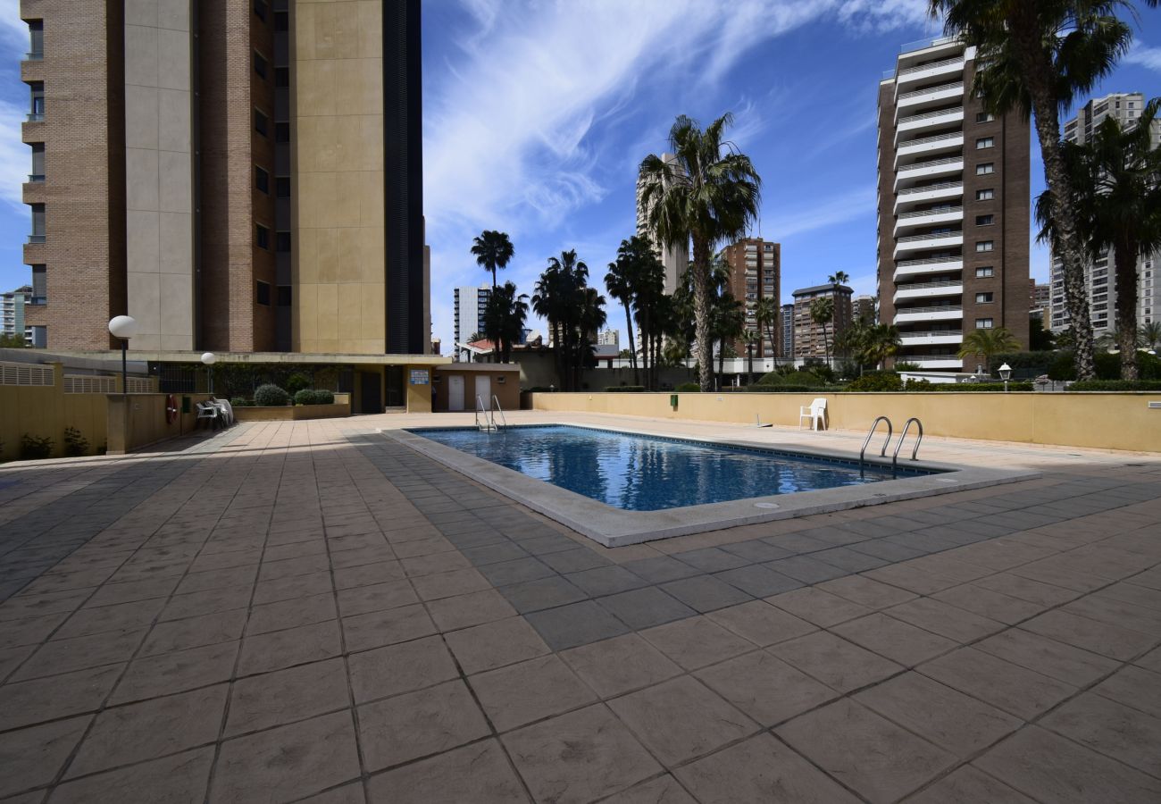 Apartamento en Benidorm - GEMELOS 23 6C